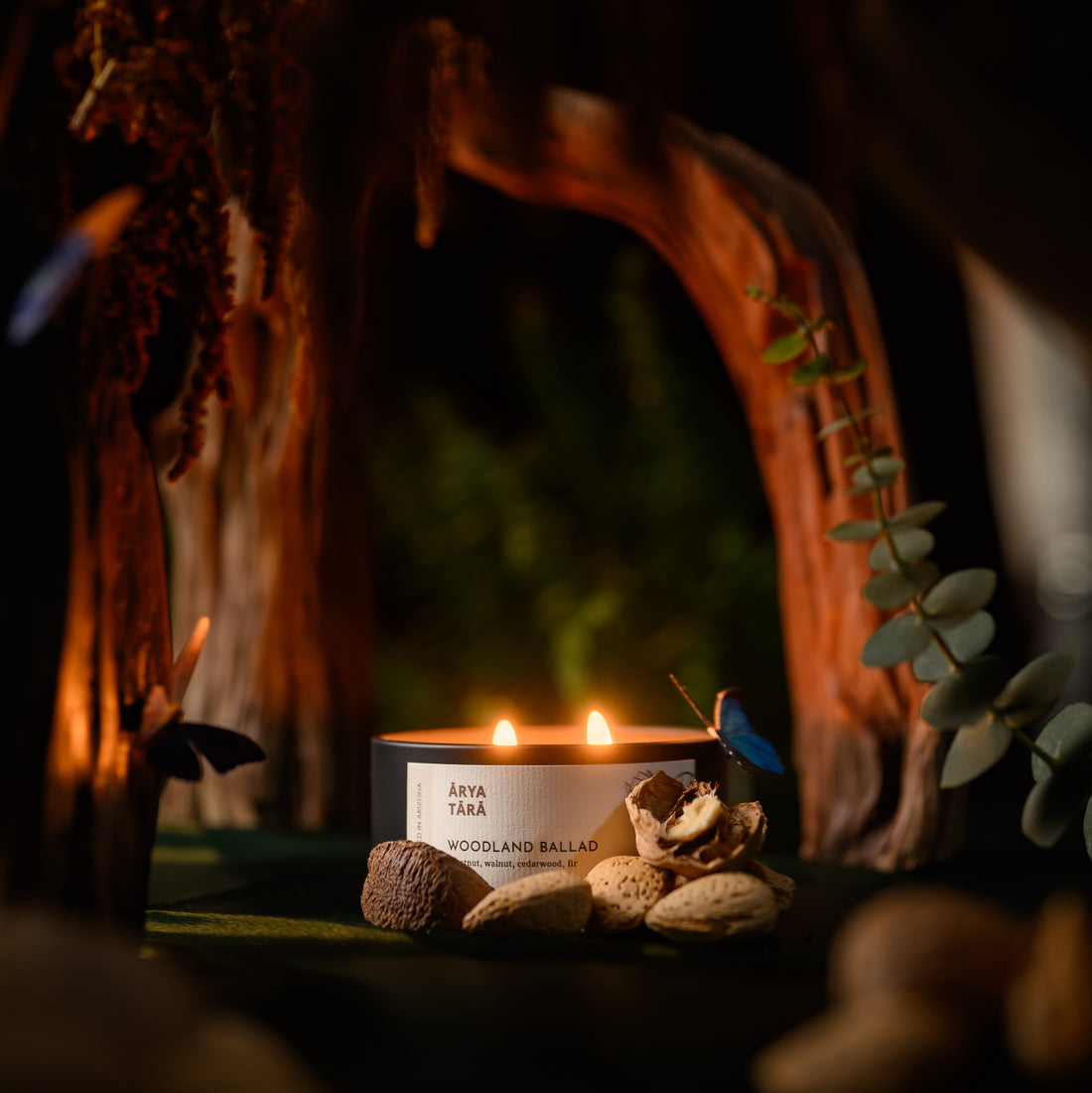 Woodland Ballad Candle | Onyx Tin