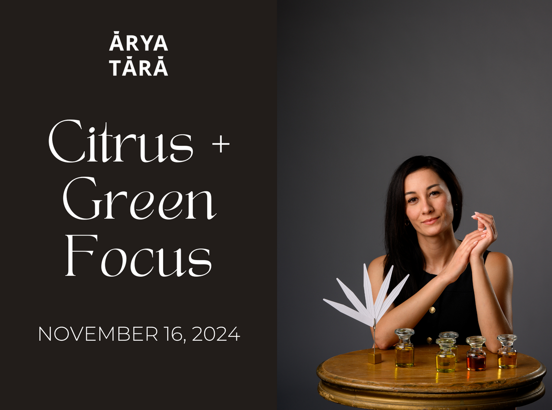 Citrus + Green Focus Workshop |  November 16