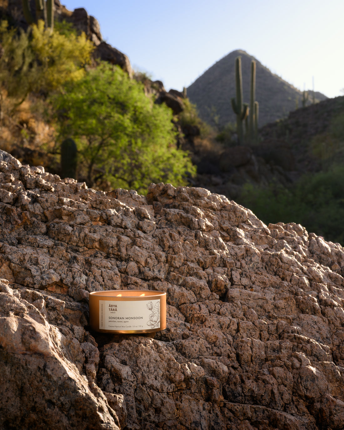 Sonoran Monsoon Candle | Copper Tin