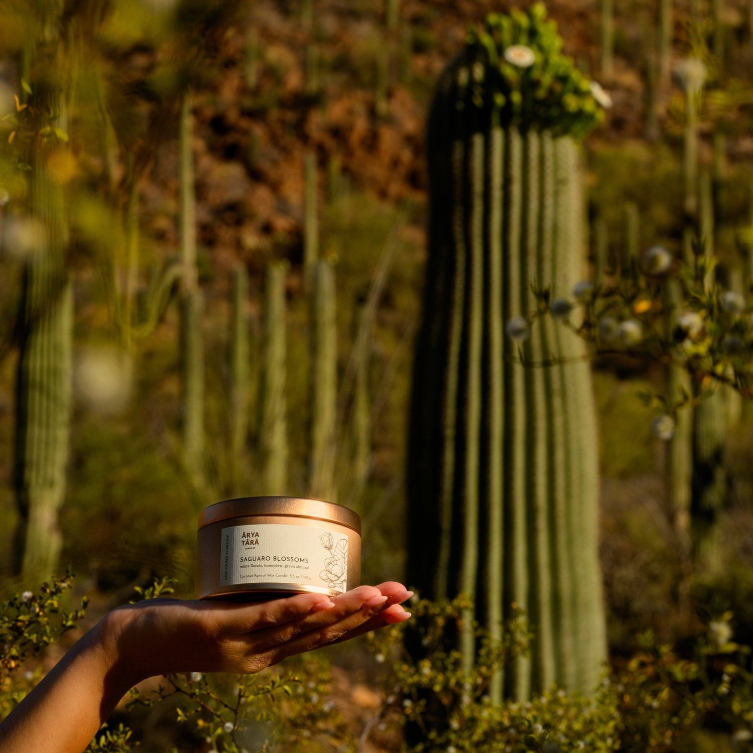 Saguaro Blossoms Candle | Copper Tin