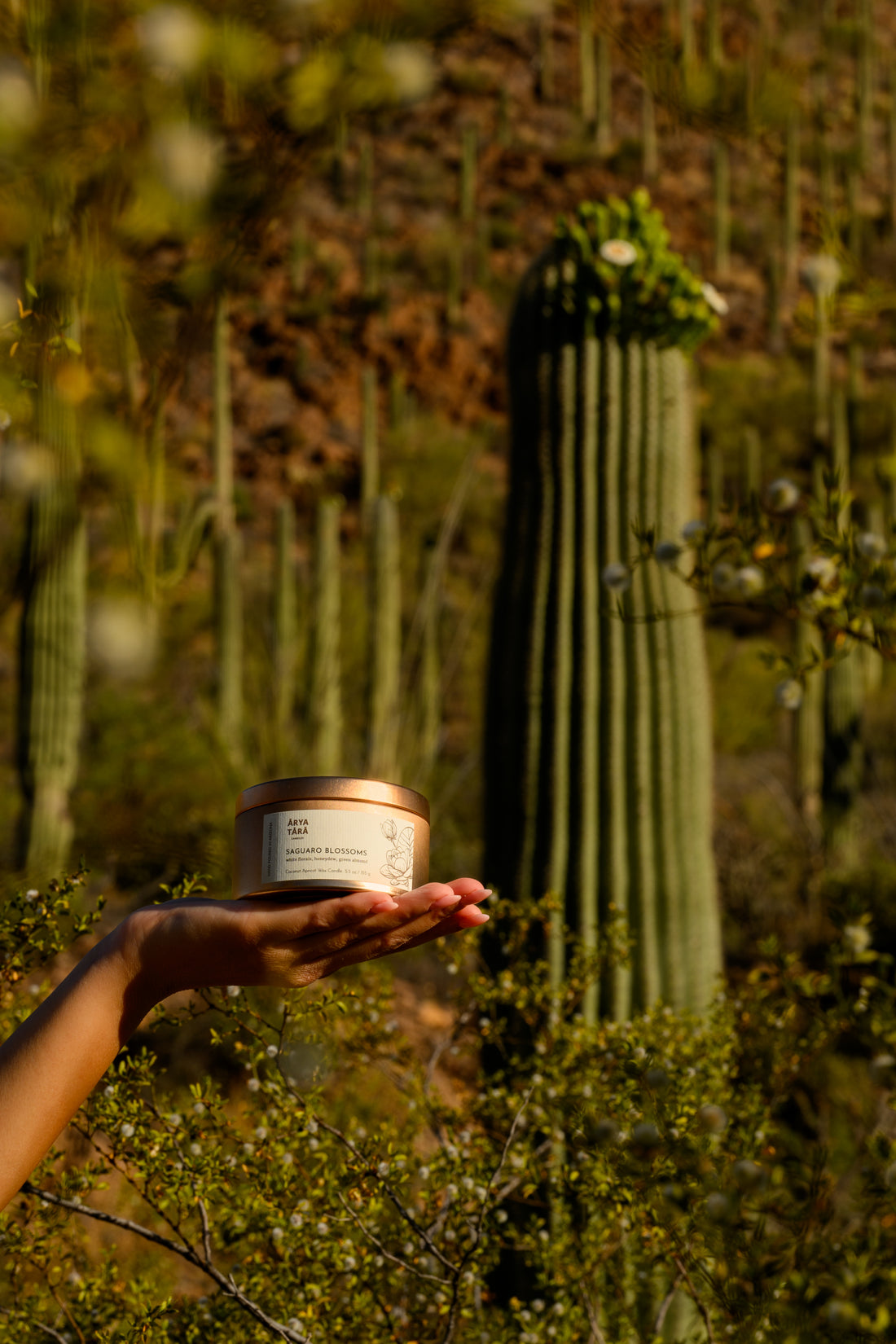 Saguaro Blossoms Candle | Copper Tin