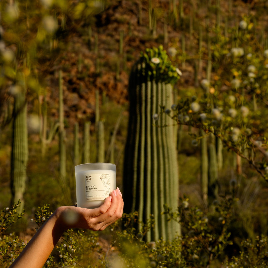 Saguaro Blossoms Candle