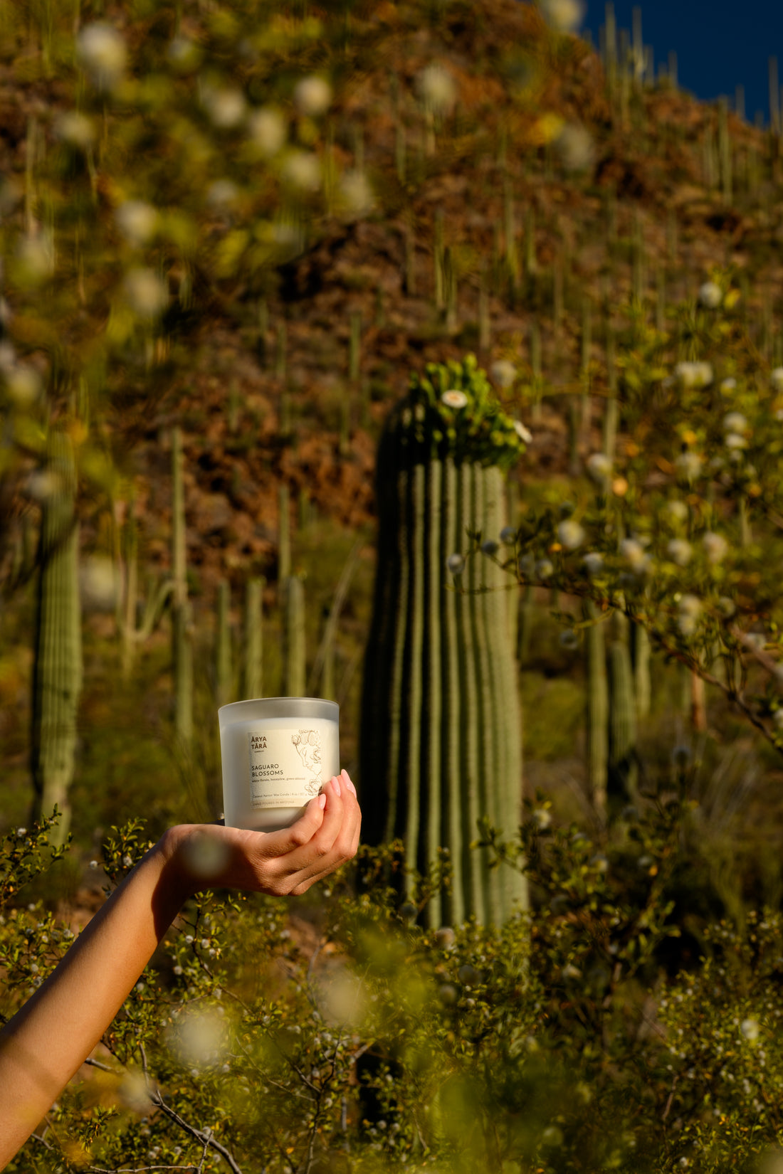 Saguaro Blossoms Candle