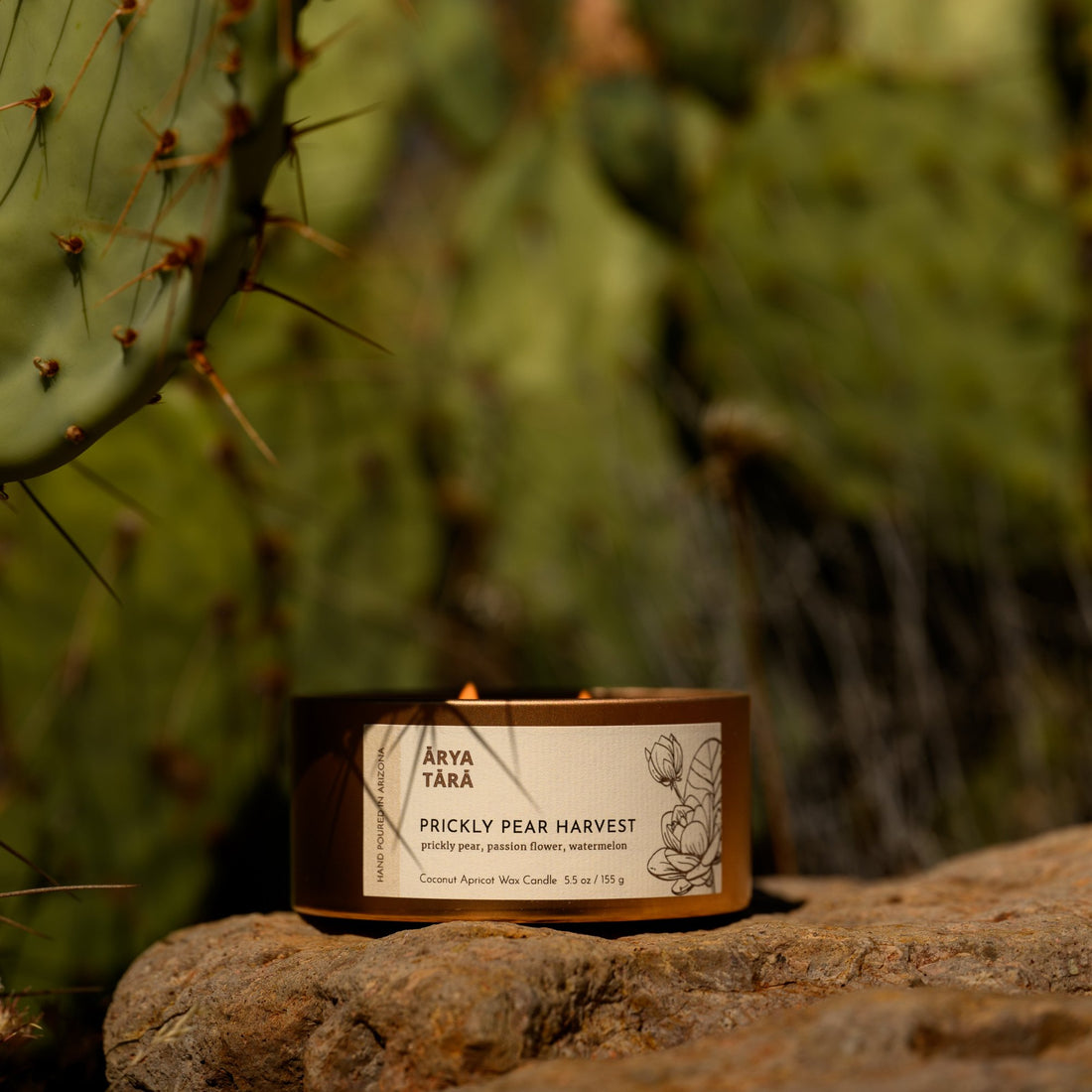 Prickly Pear Harvest Candle | Copper Tin