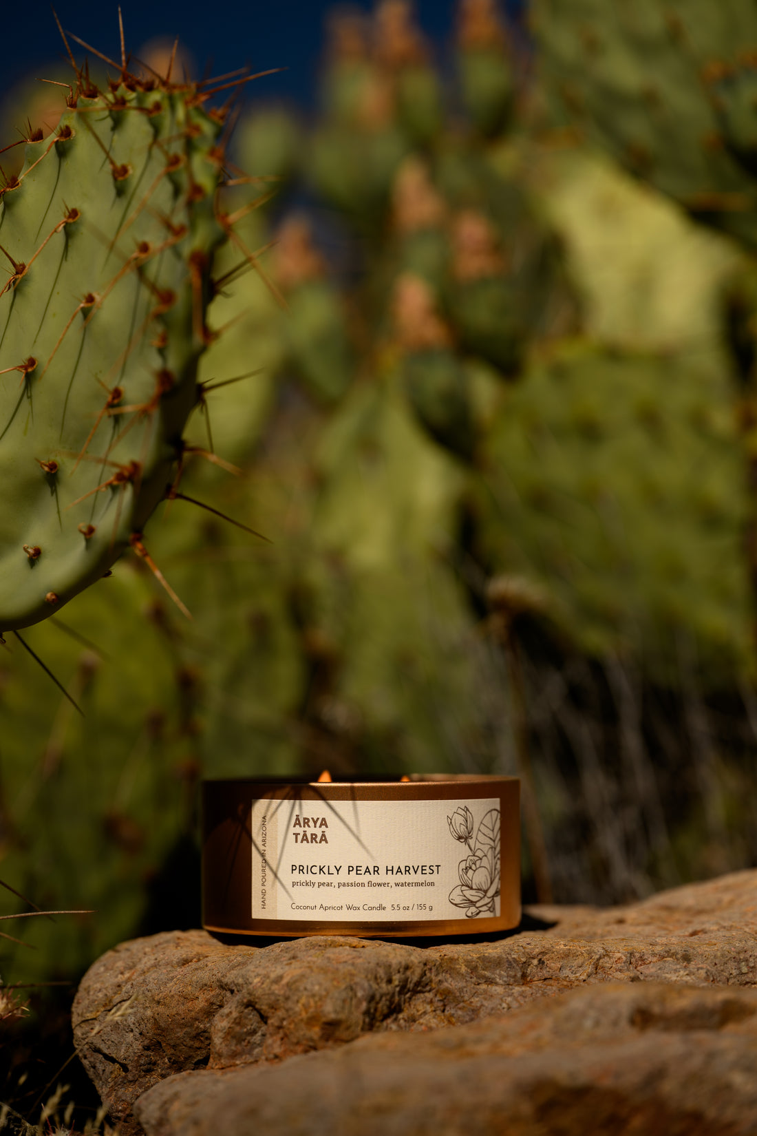 Prickly Pear Harvest Candle | Copper Tin