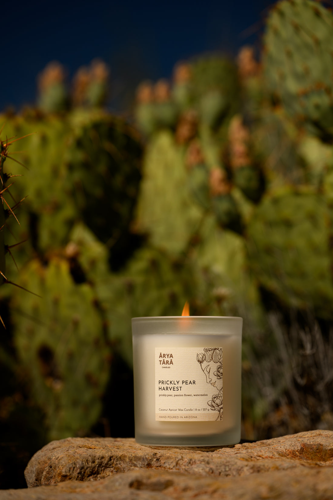 Prickly Pear Harvest Candle