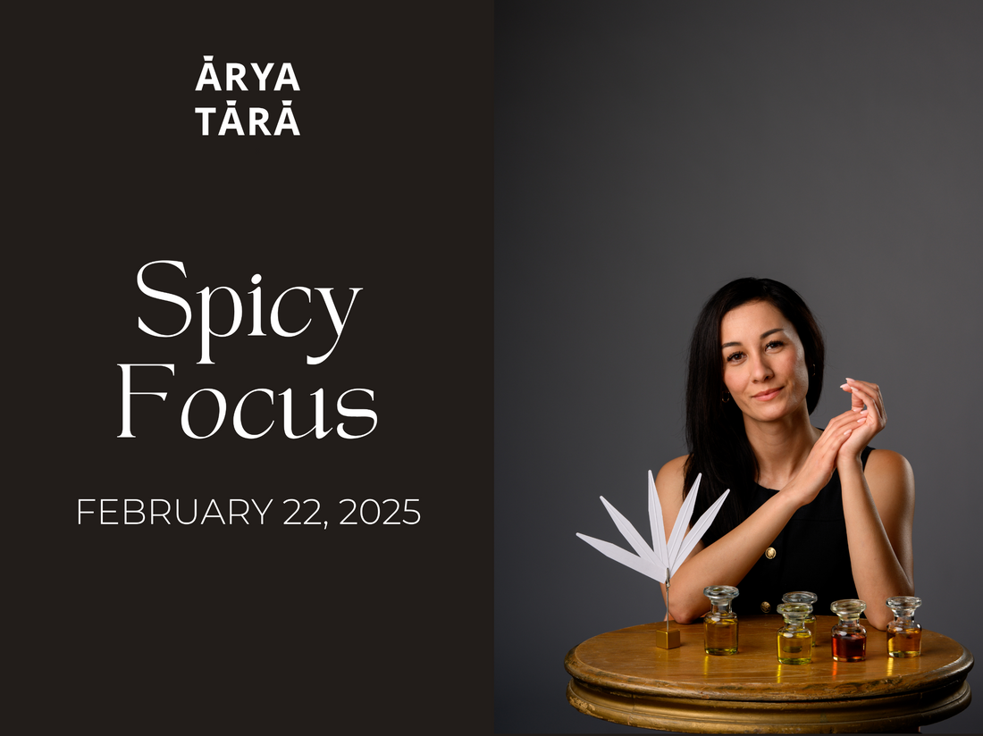 Spicy Focus Workshop | February 22